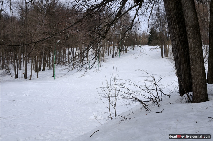 усадьба Райки