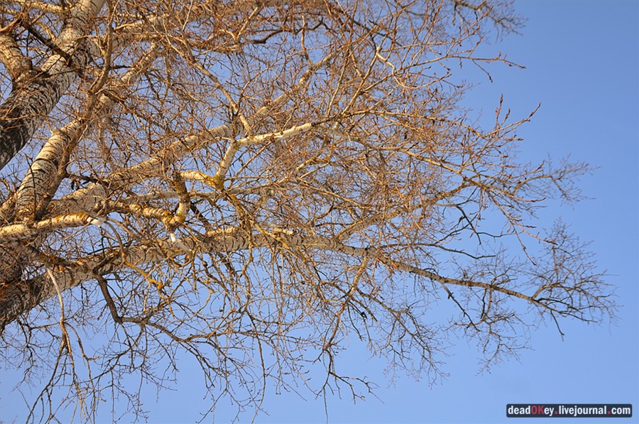 усадьба Андреевское