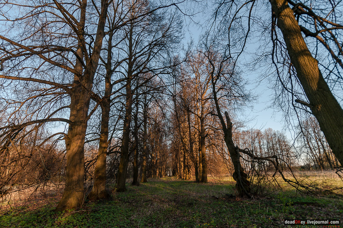 Усадьба Стародуб