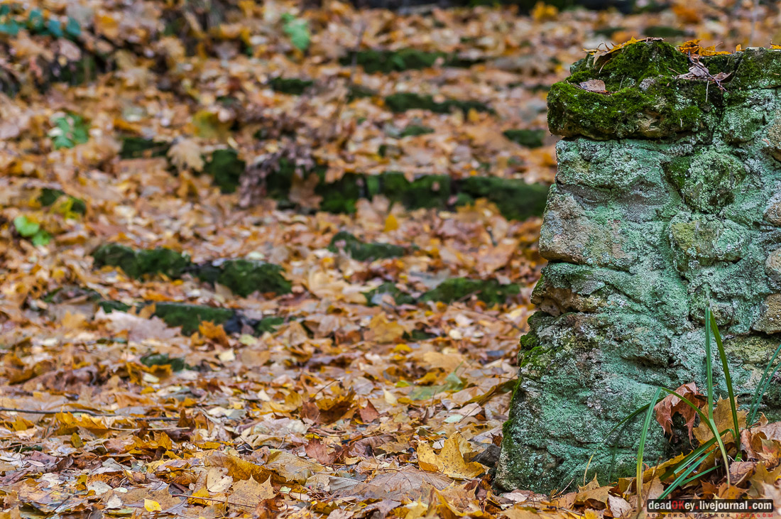 Усадьба Любвино