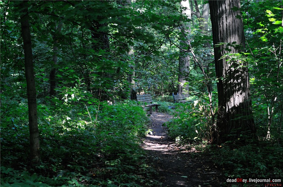 усадьба Лукино-Варино