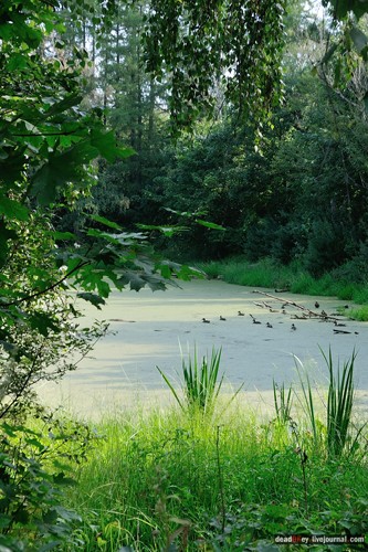 усадьба Пронино