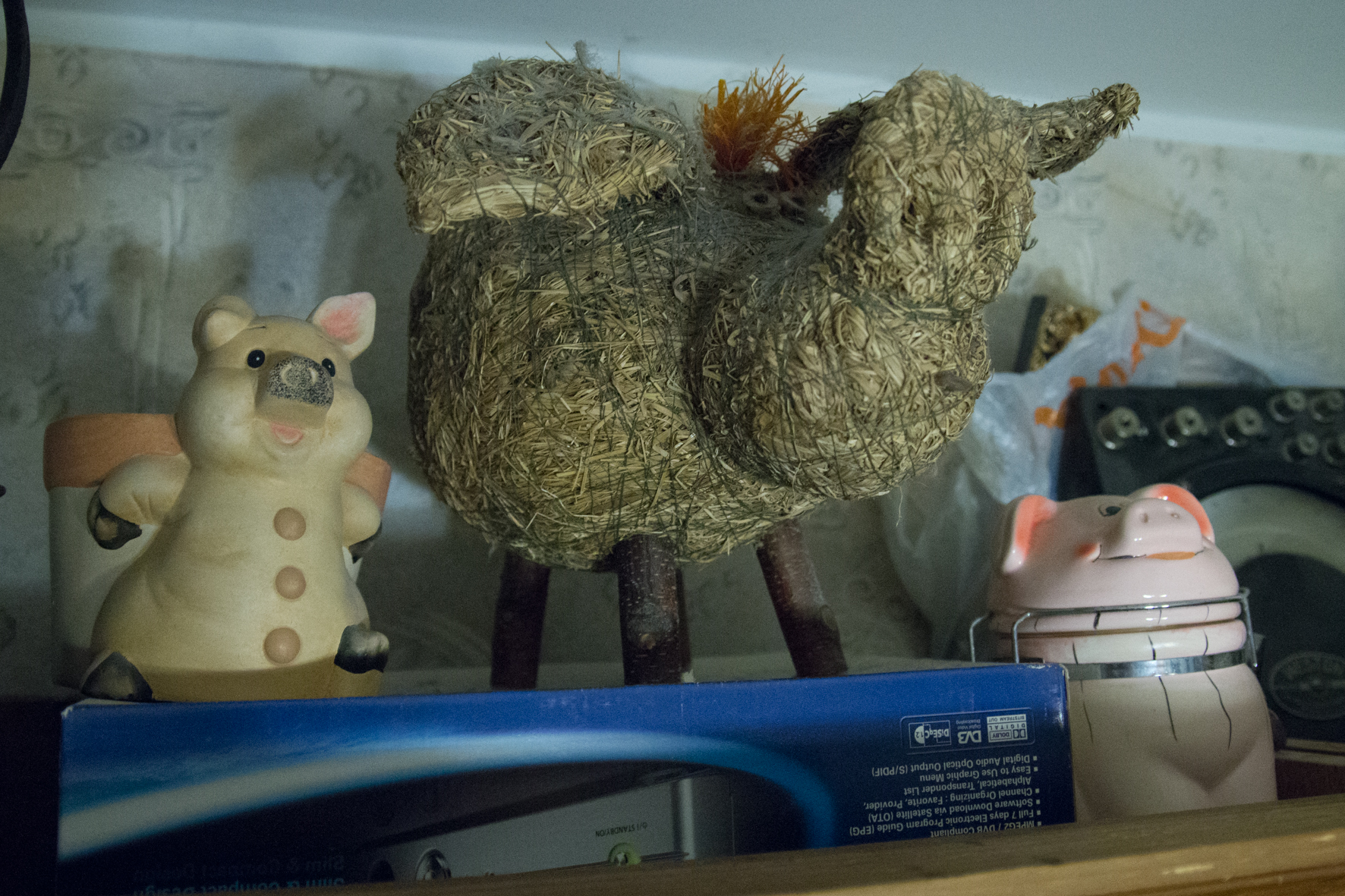 Свиньи, музей свиней