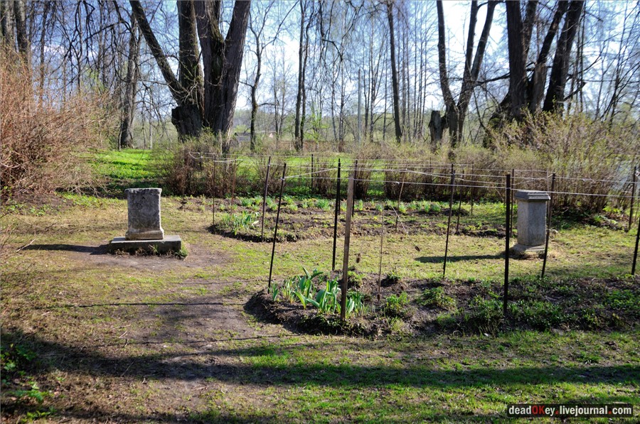 усадьба Орехово