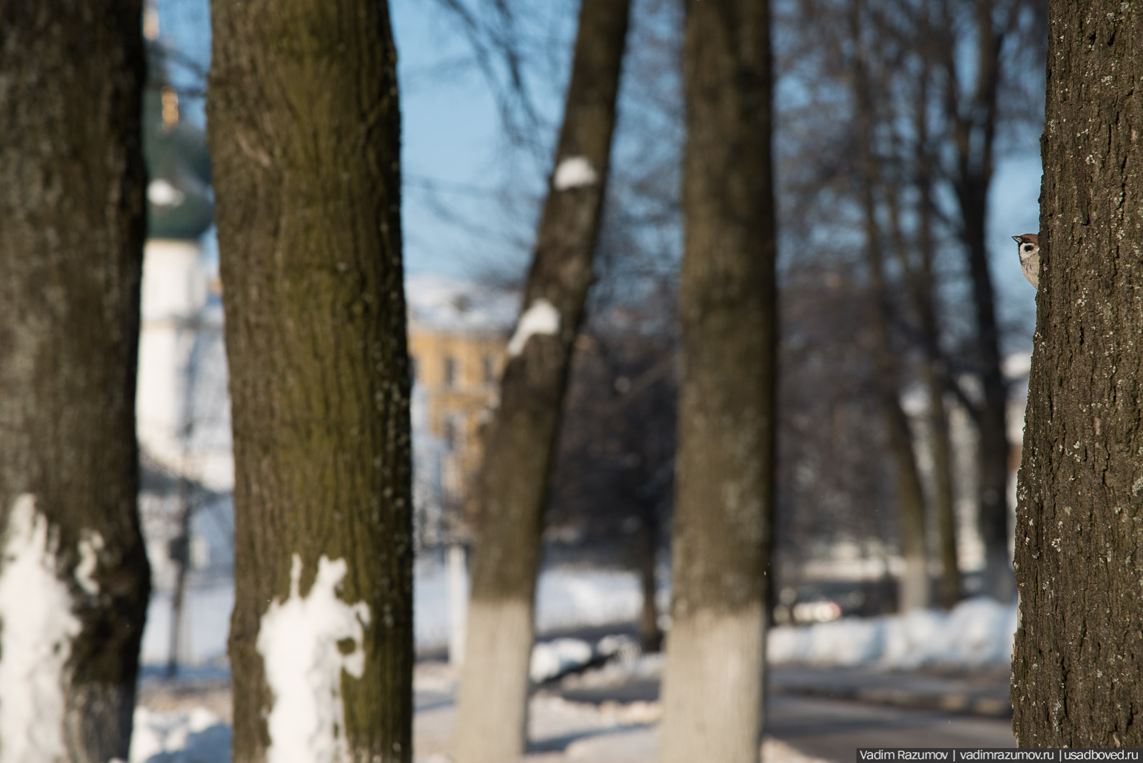 Ярославль, архитектурные детали, Золото кольцо, фототур