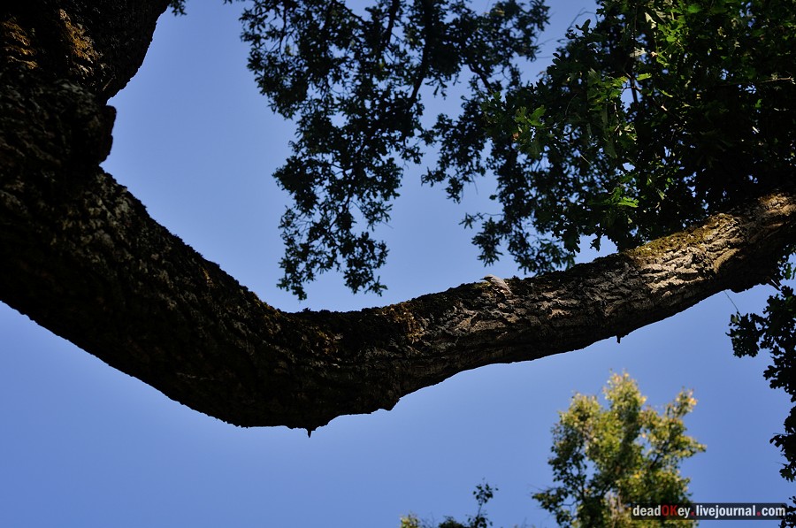 усадьба Денежниково