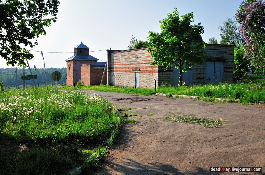 усадьба Богословское-Могильцы