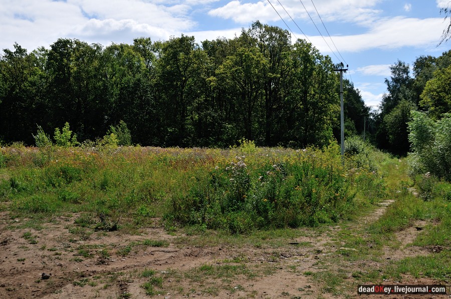 усадьба Троицкое (Мосрентген)