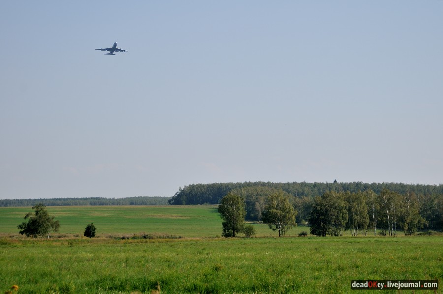 усадьба Шишкино