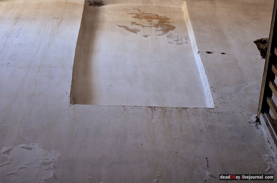 усадьба Костино Сабашниковых