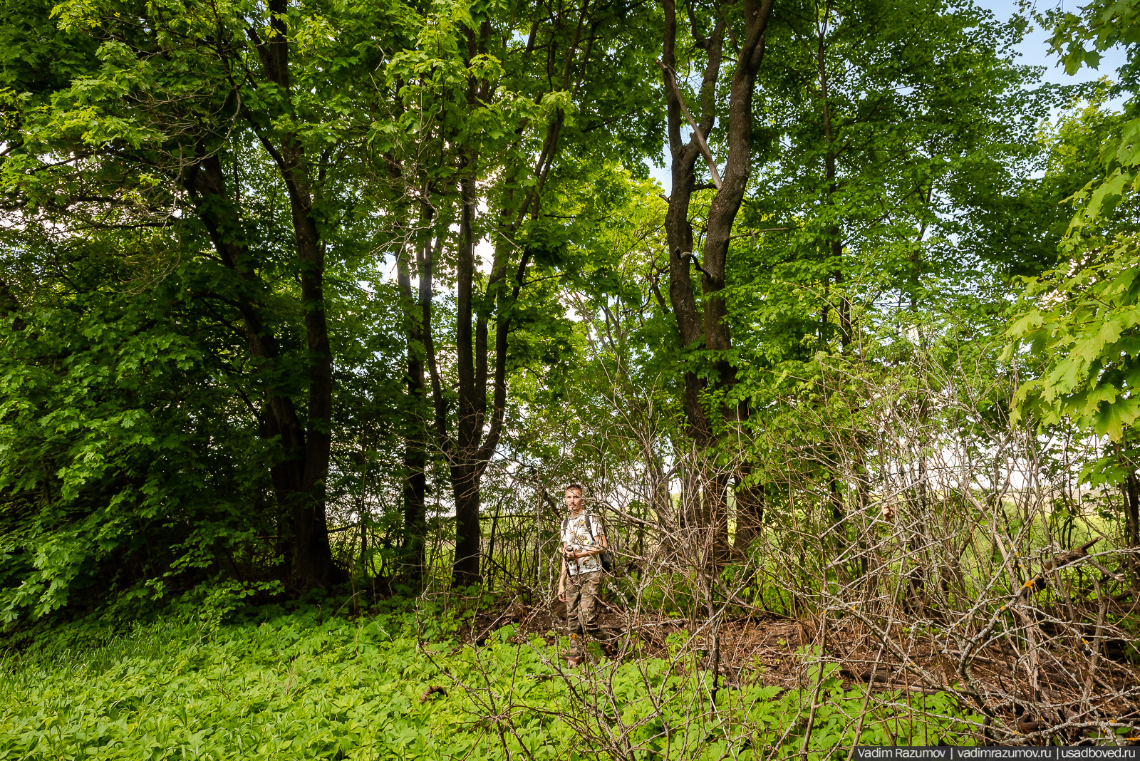 Старое Глазово, могила Василия Баженова, 2021 год