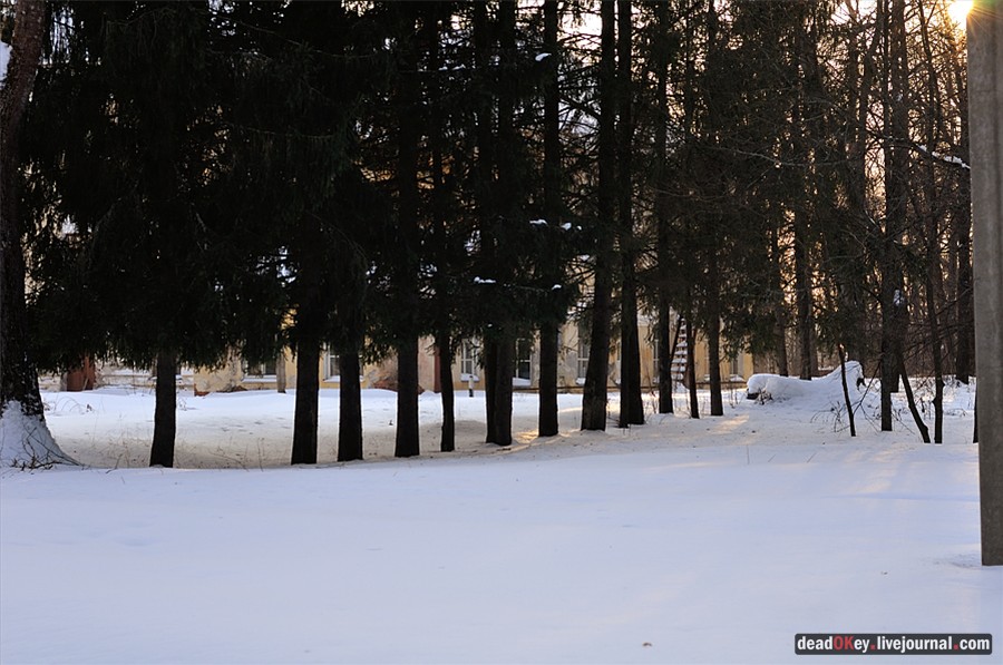 усадьба Андреевское