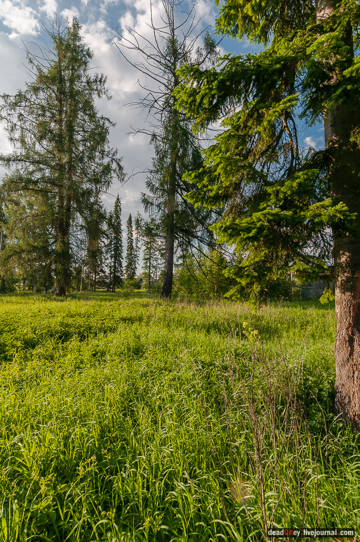 усадьба Вощажниково