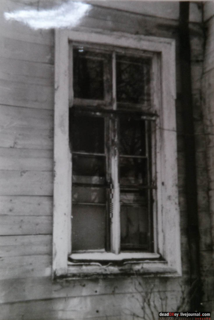 усадьба Васино