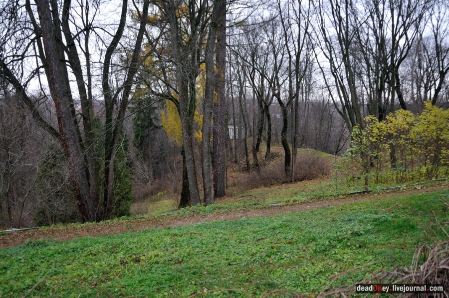 усадьба Горки