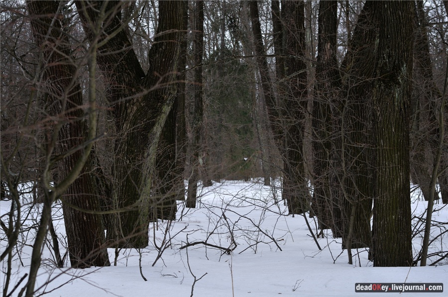 усадьба Ельдигино