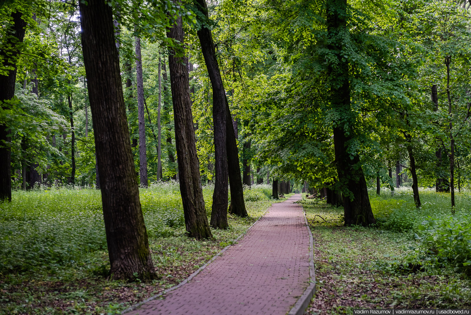 Богородицк, Тульская область