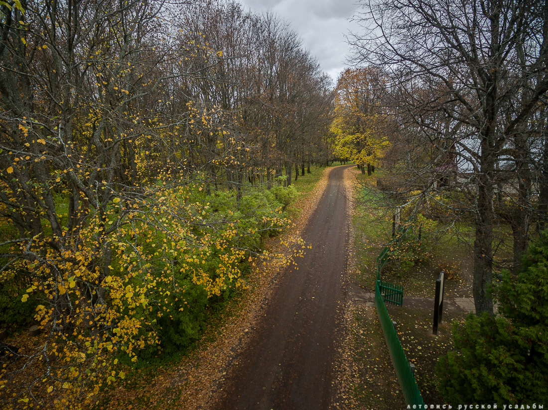 усадьба Боблово Д.И. Менделеева с квадрокоптера