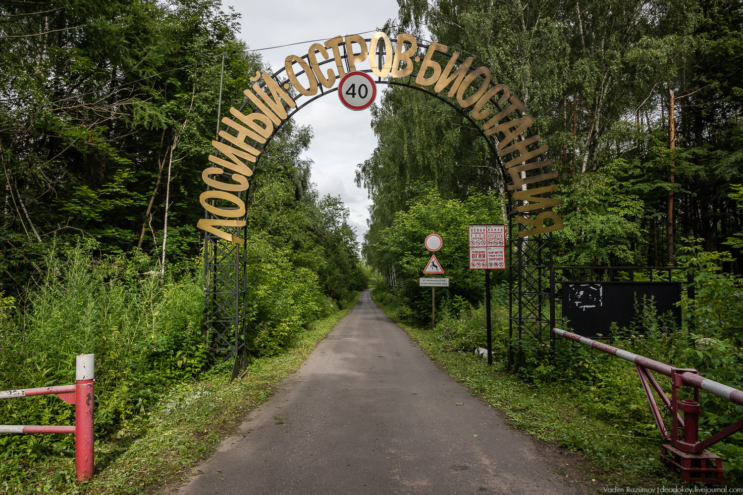 Лосиный остров