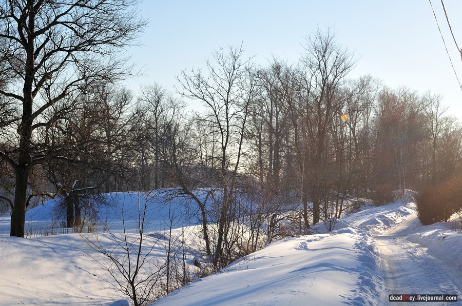 усадьба Старбеево