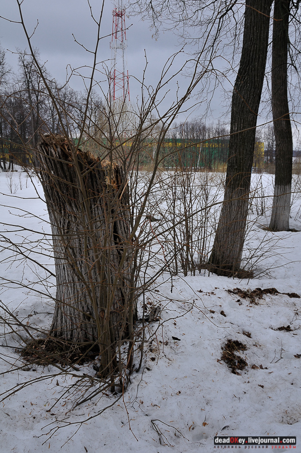 усадьба Сынково