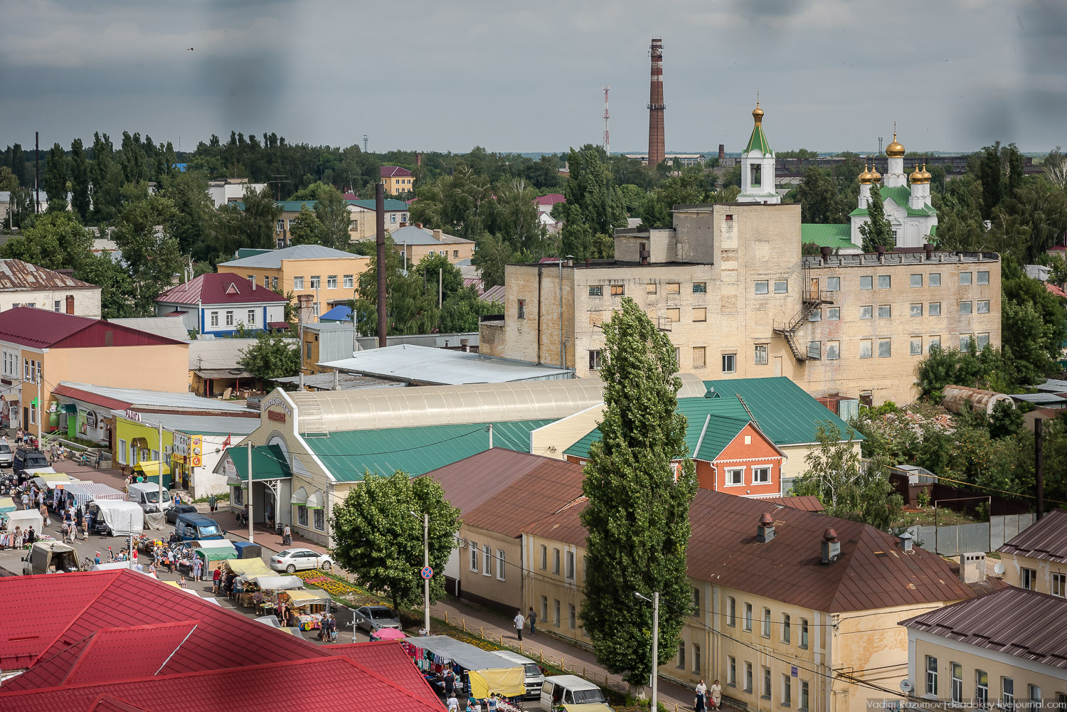 Липецкие усадьбы, Баловнево, Полибино, путешествие, экскурсия Усадебный экспресс