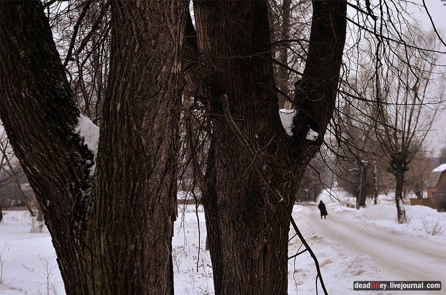 усадьба Успенское