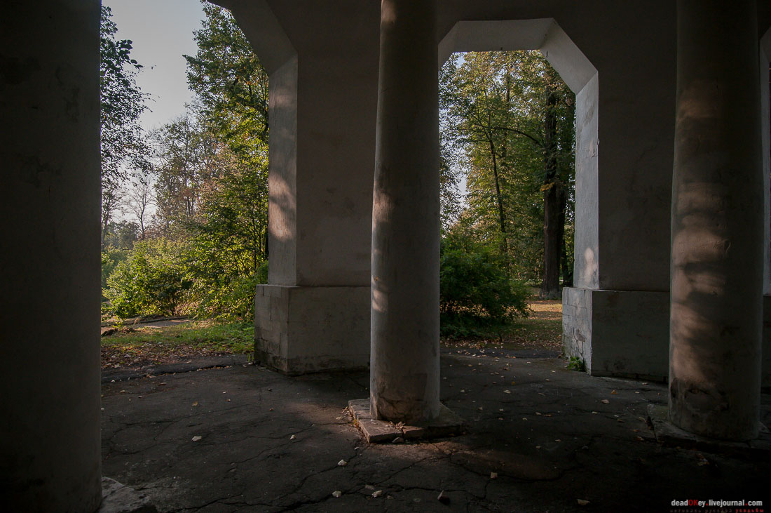 усадьба Марфино - грифонов покрасили