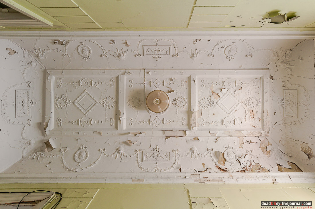 усадьба Мамоново, Сколково, Гусева полоса