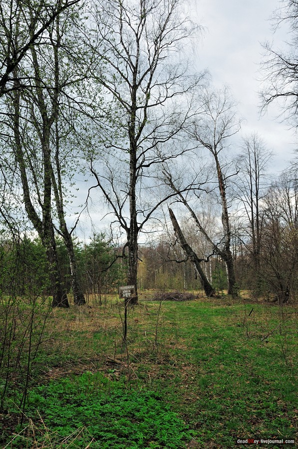 усадьба Антипино