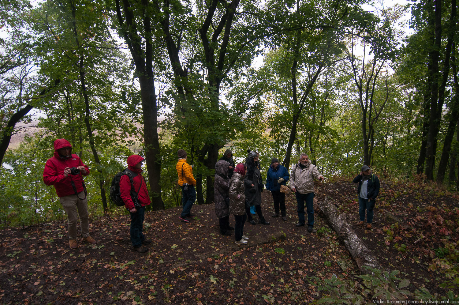Липецкая область, усадьбы, инвестблогтур 
