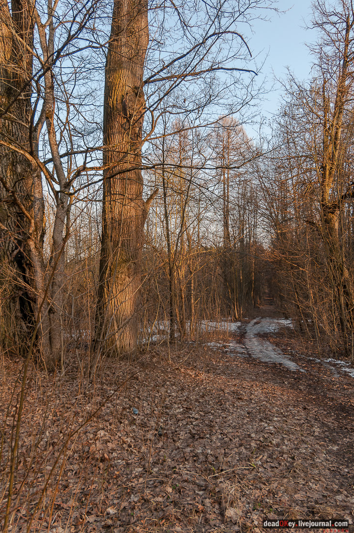 усадьба Никольское-Урюпино