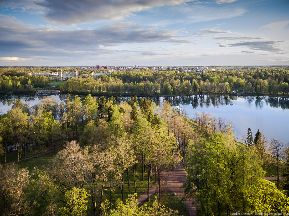 Гатчинский дворец, Гатчина, с дрона и квадрокоптера
