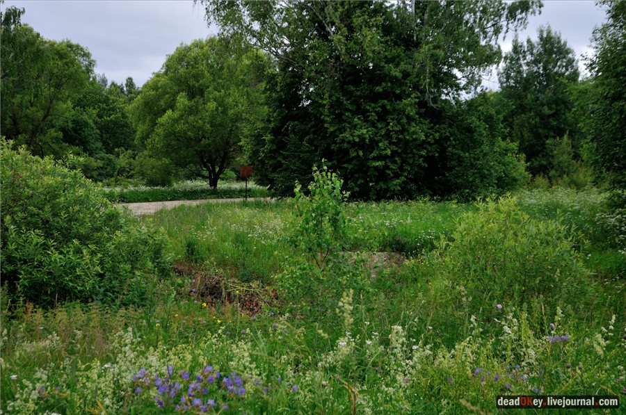 усадьба Фуникова Гора Прокудина-Горского