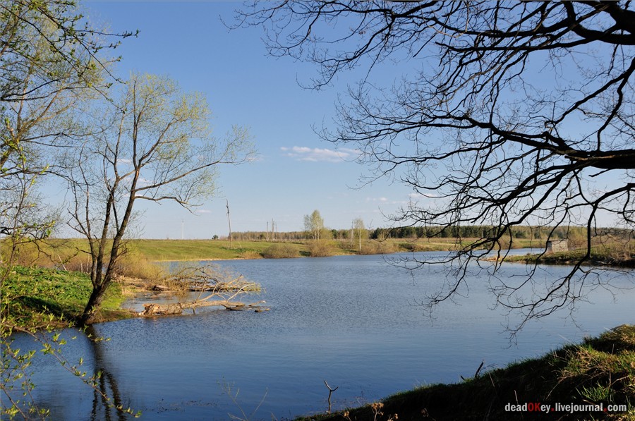 усадьба Черкутино
