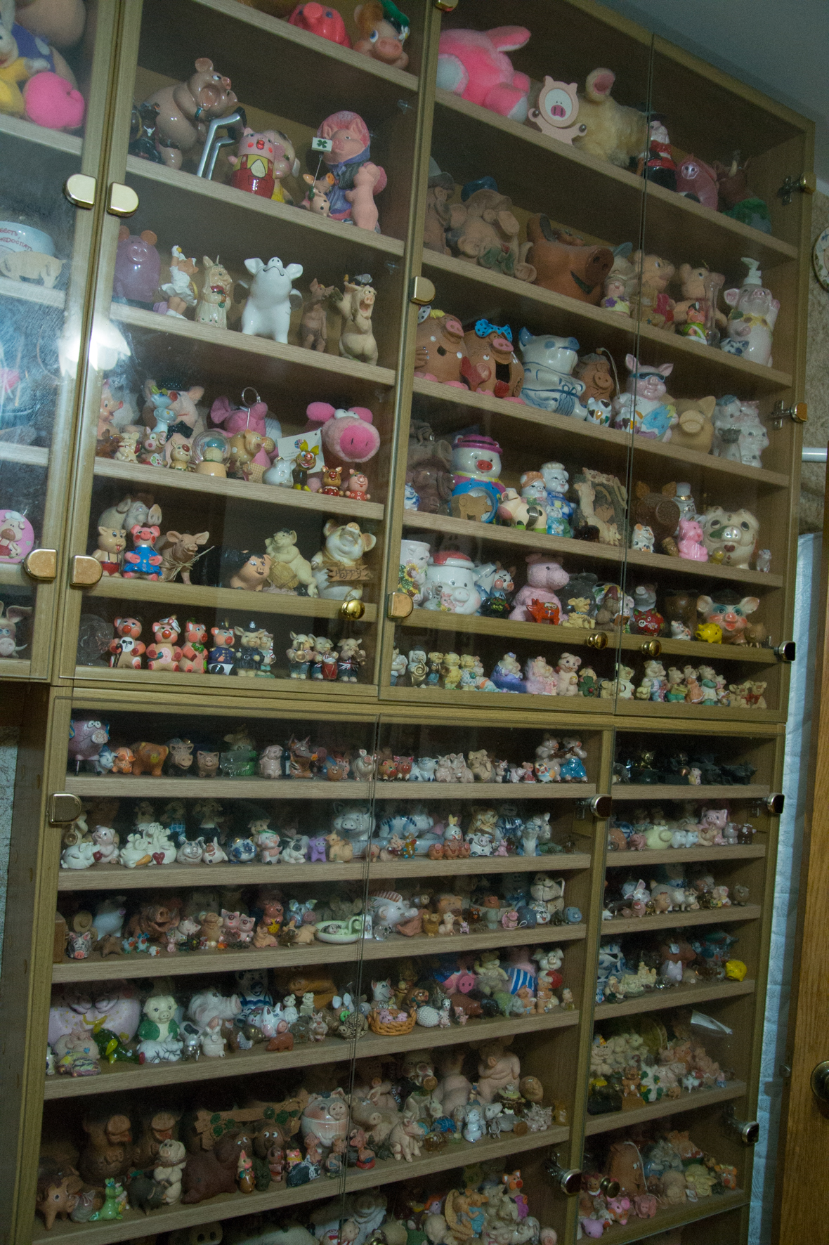 Свиньи, музей свиней