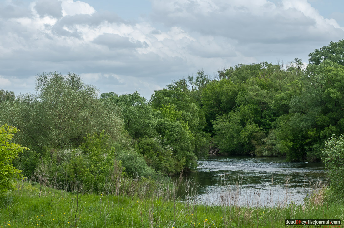 усадьба Коленцы
