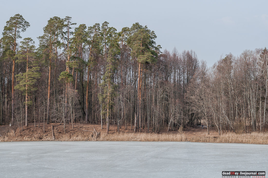 усадба Ярополец Чернышёвых