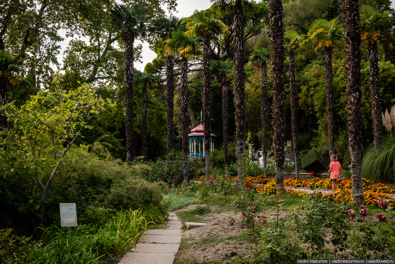 Никитский ботанический сад