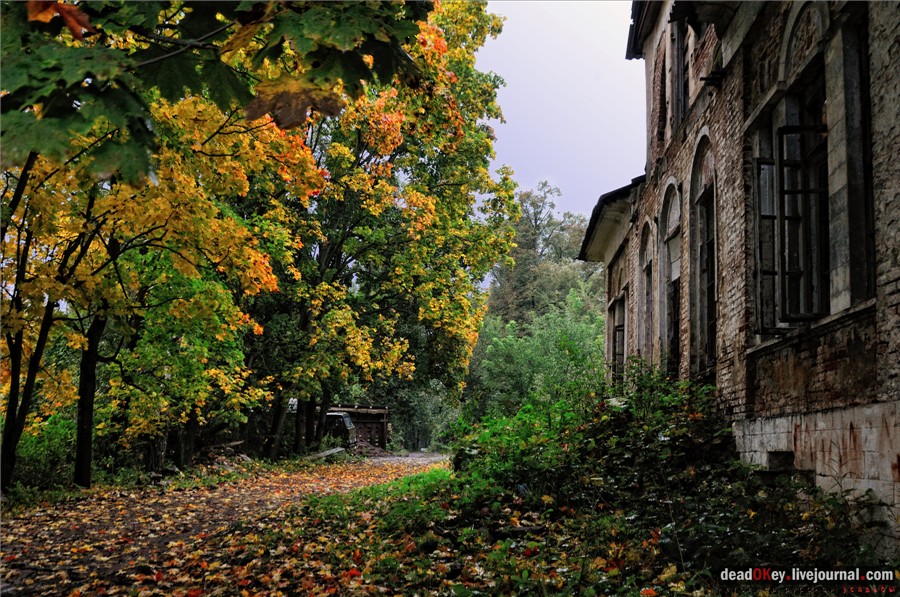 усадьба Ляхово