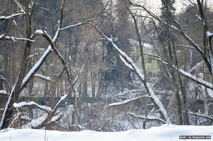 усадьба Котляково