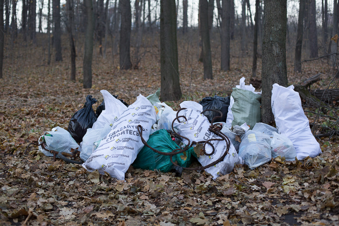 усадьба Мещерское