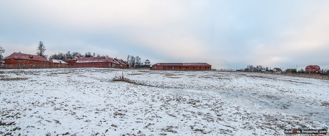 усадьба Ольгово