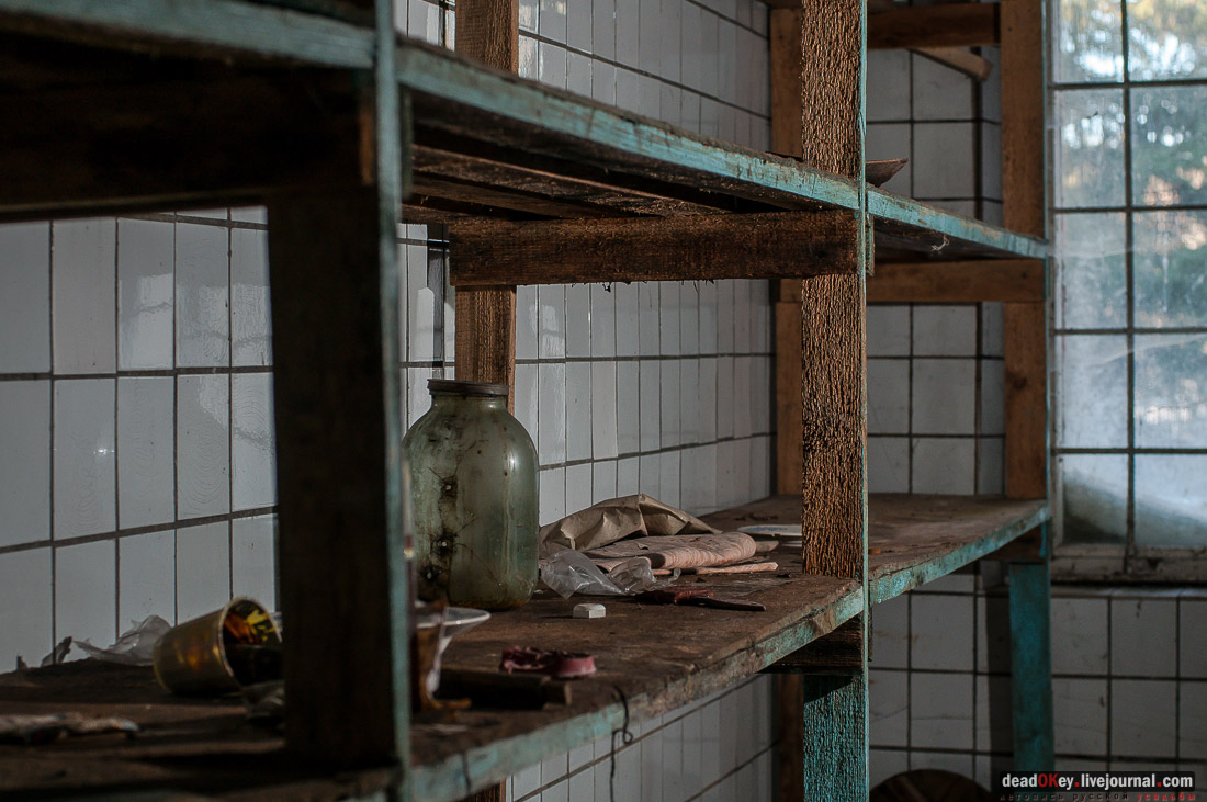 усадьба Ивановское-Козловское