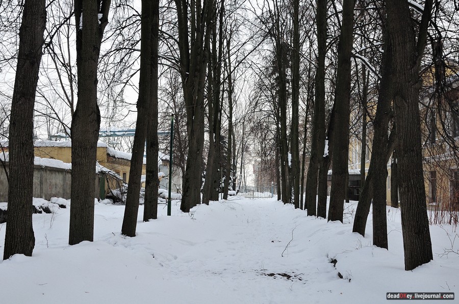 усадьба Дугино