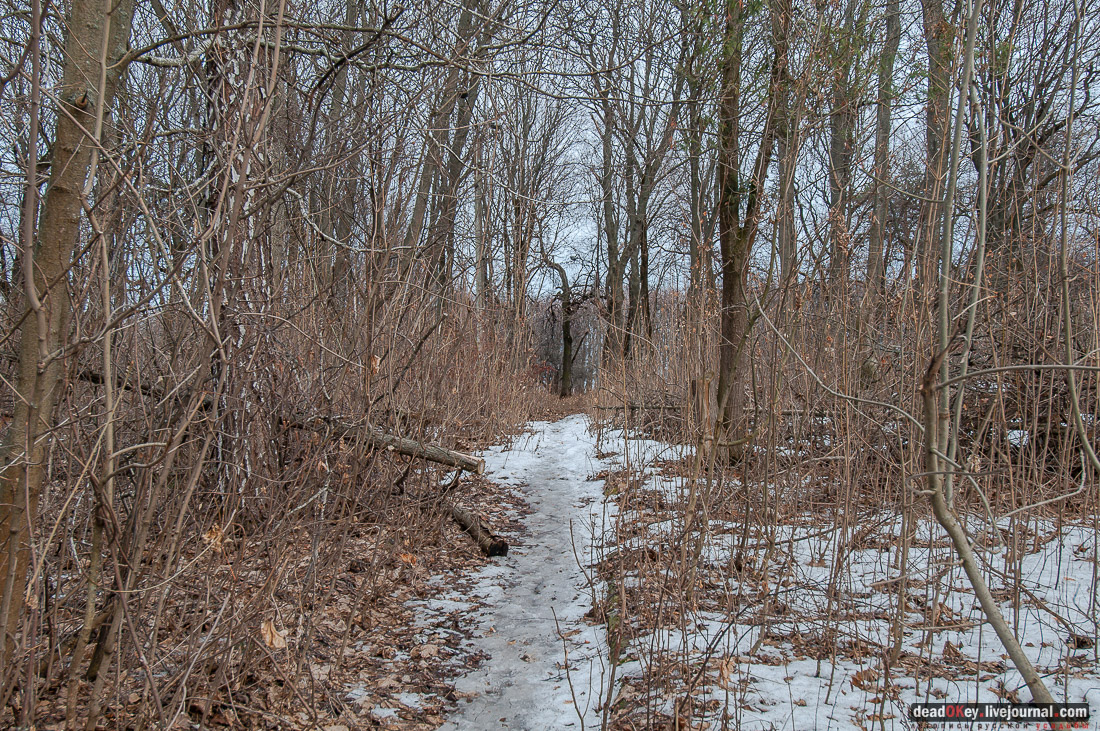 усадьба Мещерское