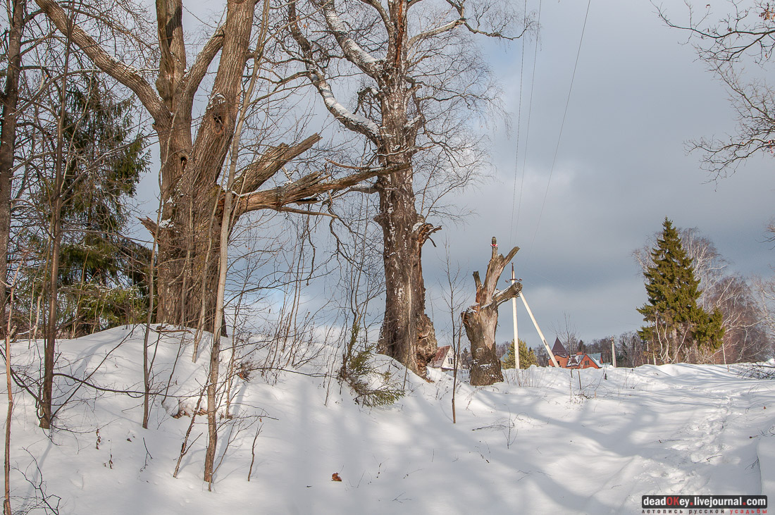 усадьба УДИНО, ОЛЬГОВО и НИКОЛЬСКОЕ-ОБОЛЬЯНИНОВО в фильме Гусарская баллада, 1962 год