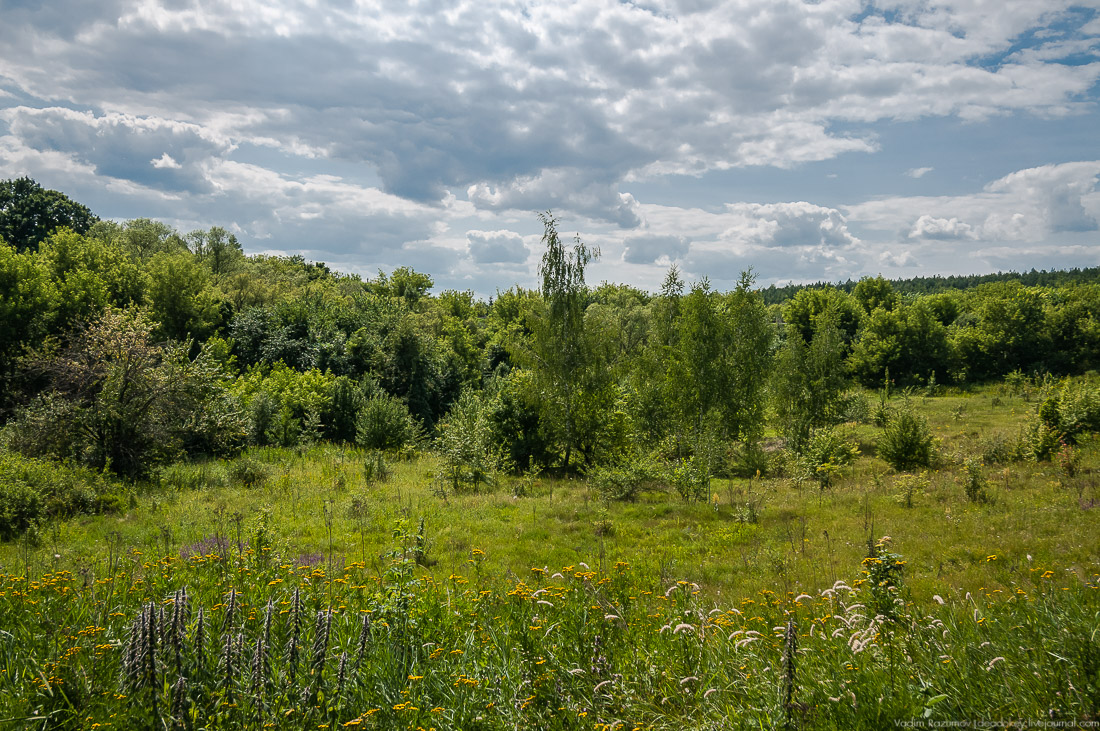 усадьба Стегаловка Ведровых