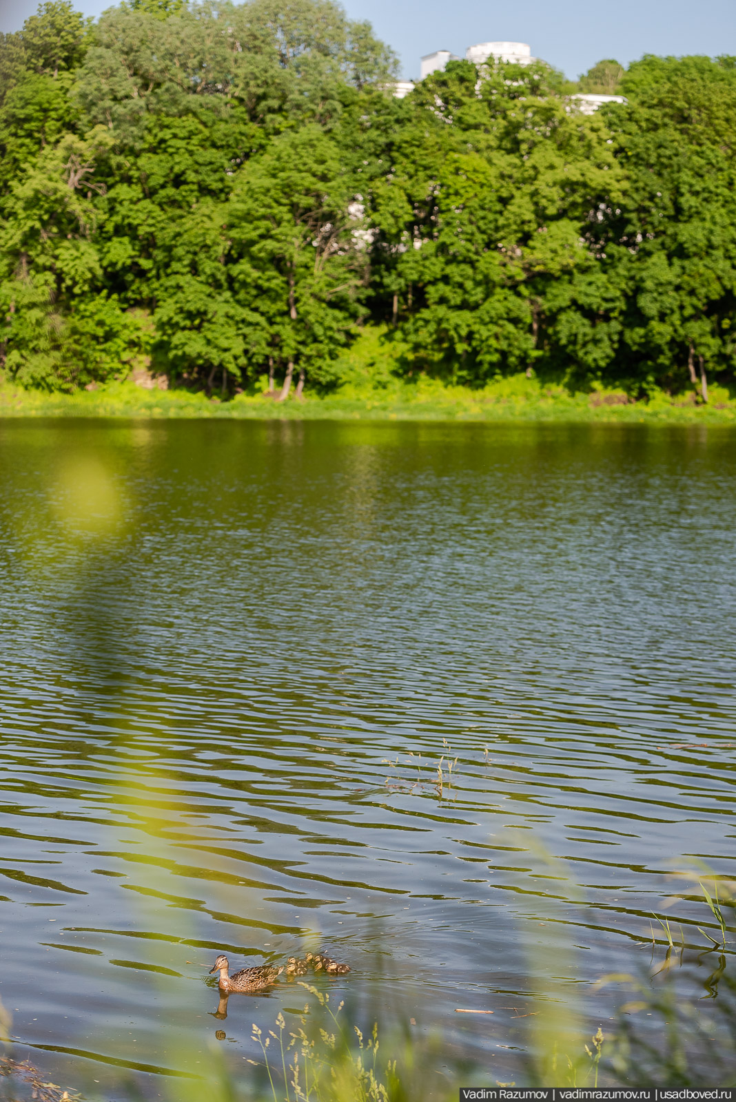 Богородицк, Тульская область