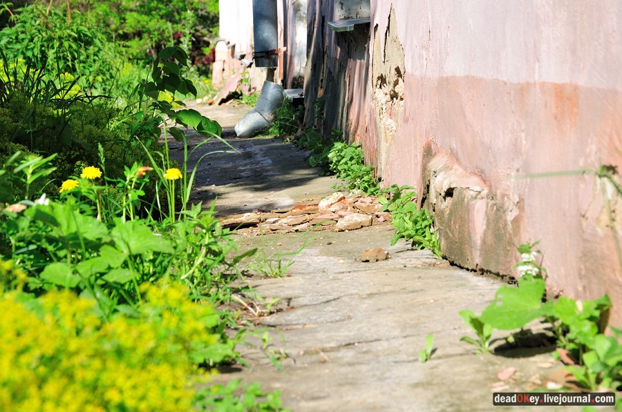 усадьба Троицкое